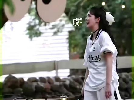 #白鹿#白鹿和孔雀互动 太有意思了😂