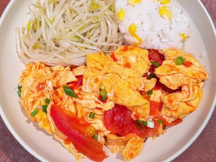 我的控糖午餐:西红柿炒蛋丨炒豆芽丨玉米饭#控糖饮食 #低脂健康餐 #生活化减脂 #吃瘦不饿瘦 #一起打卡减肥