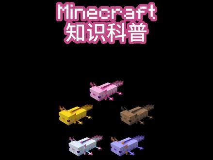 #minecraft 知识科普-美西螈