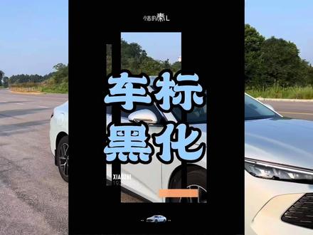 比亚迪秦L的车标黑化推荐,比亚迪秦L黑武士效果#比亚迪 #秦l #比亚迪秦l #秦l油耗车主真实油耗 #车标黑化