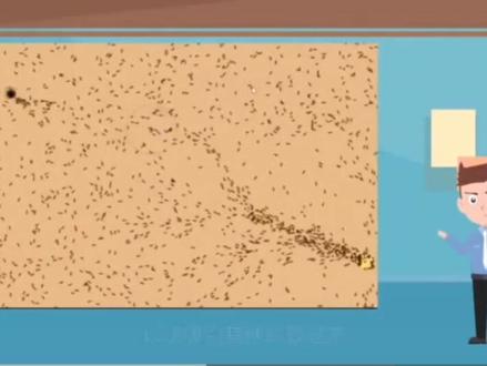 蚁群算法是一种模拟蚂蚁群体行为的随机优化算法,由意大利学者Dorigo等人于1991年提出。其原理是通过蚂蚁之间的信息交流和协作,找到从蚁巢到食物源的最短路径。在蚁群算法中,蚂蚁被视为具有简单认知能力的智能体,它们能够根据环境中的信息素(pheromone)和启发式规则(heuristic rule)来选择下一步的行动。具体来说,蚂蚁会根据当前所在的位置,以及周围的信息素浓度,选择一个概率最大的方向前进。在每只蚂蚁完成一次探索后,它们会在走过的路径上留下信息素,从而影响其他蚂蚁的决策。
随着算法的不断迭代,信息素的积累和更新会使得某些路径变得越来越短,从而逐渐逼近最优解。蚁群算法的优势在于其具有分布式计算、鲁棒性强、易于实现等特点,在优化问题中得到了广泛的应用。#算法 #蚂蚁 #matlab学习 #数学思维 #数学