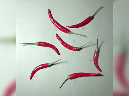 小伙3D作画以假乱真,吸粉百W,被称现实版神笔马良 #立体画