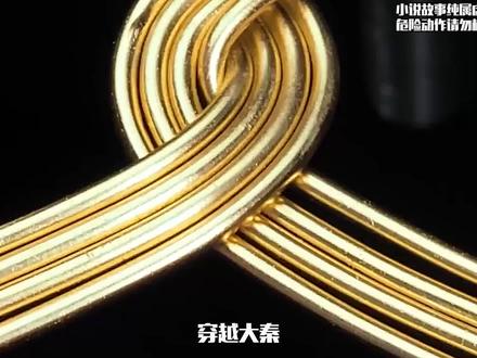 铭:天启祖皇 #QQ阅读 看后续
