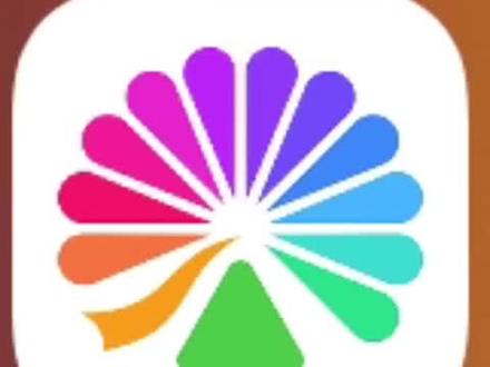 作者碎了#高越#高超#双高胎#双高胎线下