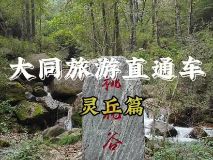 #爱大同的100个理由 #云动天下潮起大同 你不可错过的大同周边一日游,灵丘桃花山@大同市旅游集散中心