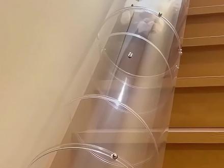 这水管漏猫,物业管不管?#动物成精 #宠物迷惑行为 #液体猫 #宠物科普 #萌宠日常vlog