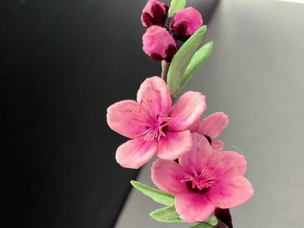 #我做的春日限定手工 #扭扭棒桃花教程 #扭扭棒花束 #桃花朵朵开 #春天的气息 超简单扭扭棒桃花教程,轻松学会!