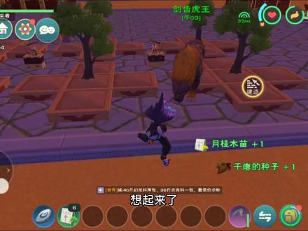 星川解说:创造与魔法寒月木的6种获取方法及对应的快速获取教程 #游戏日常 #手游 #老玩家 #攻略教程 #创造与魔法手游