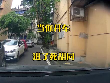 用没有影像的车 倒车的师傅,才是好厨子! #开车注意安全 #死胡同
