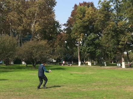 空中之王,世界四大名机之一,2009年世界吉尼斯纪录滞空27.9秒#折纸 #手工 #纸飞机