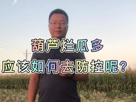@DOU+小助手 #三农 #葫芦 #农业技术 如何防治葫芦烂瓜!