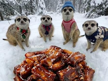 你去极寒之地,会带上哪款食物压缩球呢... #asmr #解压 #户外 #挑战 #极度舒适