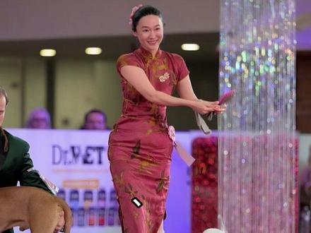 中国明星霍思燕火到国外!身穿大红旗袍带犬拿下冠军 #明星 #娱乐 #八卦 #娱乐评论大赏 #霍思燕