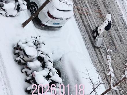 发布一下北京下雪进程,到目前2026年1月18号早上8点15分,北京的雪小了很多,但是还在下着……各位,您出行千万要小心,注意安全啊可……愿您出行平安.