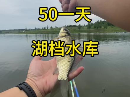 50一天湖档水库 50价格不贵。能钓什么鱼#悠漾青春#中逵小师达荣耀 @中逵官方旗舰店 #本诺钓椅@本诺工厂店#本诺飞掣U型椅