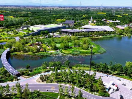 大美中国# 雄安新区郊野公园#驾车露营