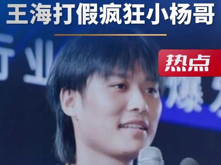 今天说说:王海打假疯狂小杨哥#刘润