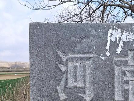 简单聊聊乳山市下初镇的河南村,当地曹姓据说是曹操后裔 大家好,在胶东半岛范围内,名叫“河南”的村庄有不少,这次就简单聊聊乳山市下初镇的河南村。
根据村志记载,元末明初,一支曹姓人从现冯家镇的瑞木山村迁此建村,因村北临近黄垒河,故取名河南庄,后改名河南村。
此后,刘、高、胡、王等姓氏也相继迁入,河南村的规模逐渐扩大。上世纪末统计,该村共有600户,总人口将近2000人,曹姓仍为主要姓氏。
说起河南村的曹姓,很多朋友可能都听说过十几年前的一则旧闻。当时,复旦大学在全国范围内征集了不少曹姓人的基因样本,用来比对查找历史名人曹操的后裔。而经过检测,河南村的曹姓就被认为是曹操的后裔。只不过因为年代久远,中间上千年的完整谱系已经难以考证了。