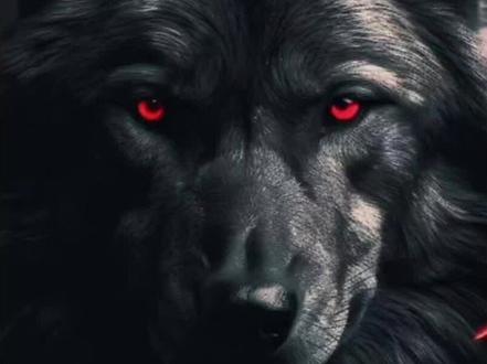 狼图腾:草原魂脉#动物解说