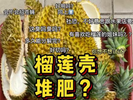 榴莲壳堆肥|榴莲壳不要丢,有氧堆肥的好材料#种植小技巧 #榴莲 #种菜 #堆肥发酵 #阳台种植