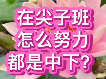 成绩中下怎么办?#海北老师 #初中家长 #家庭教育