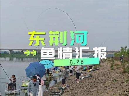 今天鱼情太好了,我要亲自出击!尽请期待!#钓鱼人的聚集地 #钓鱼爱好者的聚集地 #夏天就是要去钓鱼啊