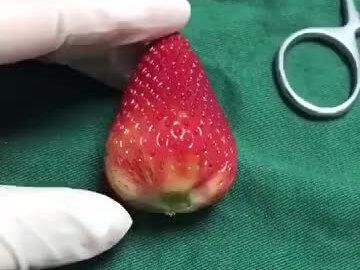 生动形象的演示了人流