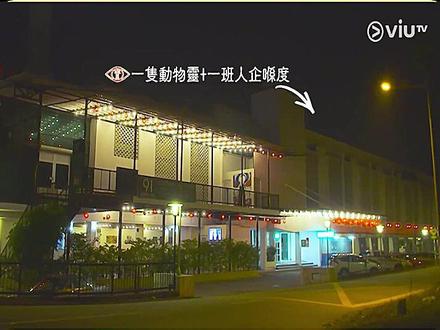 2021年震惊世界的“哈维尔2027穿越事件”,到底是真是假?@DOU+小助手