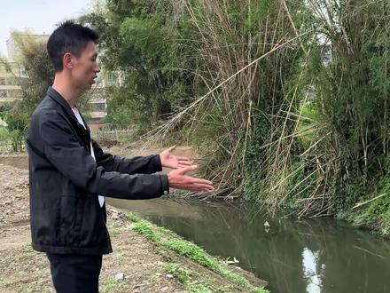 李鑫的养家姐姐,深情回忆李鑫的重情重义。#寻亲 #李鑫