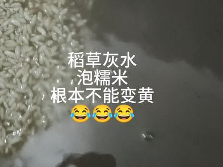 泡了一个晚上,再泡了一个白天,也沒有泡黄,哪里出错了😂#包粽子
