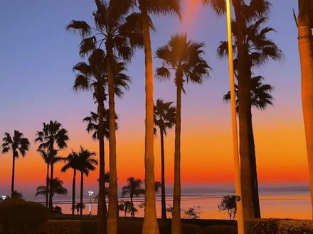 “被12月的厦门海边环岛路美到了” #厦门日出