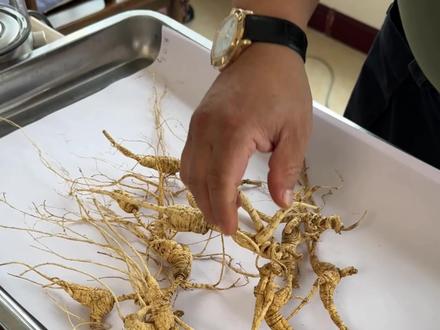 善行团·钢子 《见道者说》
文:钢子·刘兴钢
见病童眸中月缺,便日掷铜板一枚,谁知星河竟从掌中泻,百万同修共补苍穹——方信:心障破时,粒米可填生死海。
见金玉如山,反作尘沙扬去,令子孙绝商贾路,独许彩笔绘苍生;铁骑载粮闯地裂处,卸罢春风即无痕——始悟:舍到血肉皆空处,方知枷锁是金绳。
见疫锁千城,偏驾孤车穿寒夜;
见豪阵云集,却化朝露散晨曦。
劫火最炼真性:当你敢为众生赴渊,万丈幽冥自生莲。
见股权归公如落叶还根;立“永无领袖”之约;驿站星布九州,笑称“此乃众生薪火炉”
原来破尽名相惊回眸:千灯照夜时,自己亦是灯中烛。
补残缺处,已在灵山栽妙树;
破生死局,便从地狱扯金幡;
散宝山时,漫天珠玉皆法雨;
莫问修行在何方?步步莲花开谢的,原是众生心底月。
#善行团 #善行团志愿者骑士车队
#善行团公益手记
#善行团公益基金团爸团妈计划
@SXT·善行团
@善行团•游记