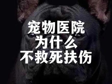 我的良心受到了暴击
#萌宠 #狗狗 #猫 #vlog #日常vlog