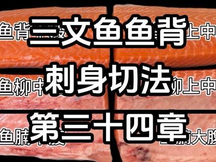 今日介绍三文鱼鱼背肉(中段)的日式刺身切法,后期持续更新鱼腩各部位的分切过程。#三文鱼切法 #三文鱼切片 #我是美食创作者