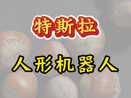 特斯拉人形机器人 #股票#金融#投资