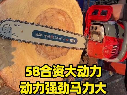 动力猛不猛,你们自己看效果。 #油锯 #劈柴 #锯树