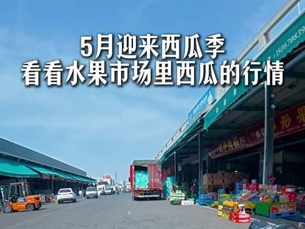 5月迎来西瓜季 看看水果市场里西瓜的行情 #西瓜 #西瓜批发 #水果市场 #水果批发市场 #西瓜🍉