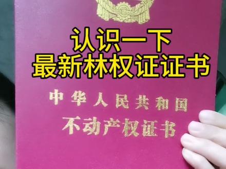 认识一下:最新版《林权证证书》,和房子的证件是一样的《不动产权证书》#林权证#不动产权证#农村土地流转#山林流转