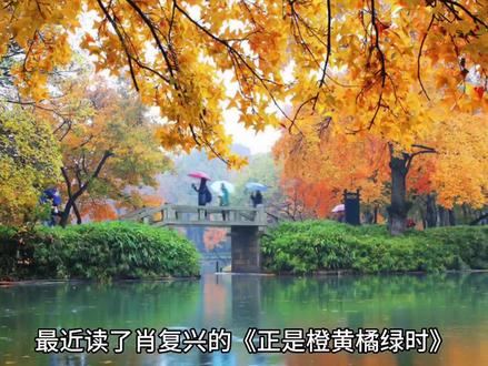 最近读了肖复兴的《正是橙黄橘绿时》,有被书中的文字狠狠治愈到。“一年好景君须记,正是橙黄橘绿时”。苏东坡的这句诗,疗愈了无数人的心。生活中,我们可能被各种蝇营狗苟、烦闷、孤独等烂人烂事烂情绪所左右,想找个人倾诉,但从头到尾,只有自己一人。这个时候,能遇到一本治愈满满的书,择一处安静的角落,翻开书静静地读上几页,烦闷焦躁的心也会慢慢地平复下来。就像肖复兴老师所说,生活的诗意未必在远方,眼前所有的“苟且”,都可能结出丰硕喜人的果实。吃一顿美食,种一株花草,读一本小书,听一段音乐,学一项技能......这些在我们眼中所认为的“苟且”,却是会在不经意间疗愈着我们“受伤”的心。肖老的书,文字很质朴,没有花里胡哨的描述,用最普通的文字,写着普通人最普通的事,却又处处流露着深情以及热爱,对人生的热爱,对事物真的追求,对本我的探索,已经生活中的花开花落。在这样一本暖心之作中,收录的58篇经典之作中,他怀念故人,描绘人间烟火,探索生命的智慧。每读一篇,都直击内心深处,治愈着我的焦虑与不安。生活有顺有逆,有好有坏,在我们可能觉得已经走到人生低谷的时候,可能接下来就是柳暗花明。在我们觉得生活已经坏到极致的时候,其实它已经开始走到好的一面。在迷茫焦虑的时候,一定要翻开这本书,仔细的读上一读,在书中,找到治愈自己的良方,接受当下,爱自己,爱生活,更爱人间的一切。