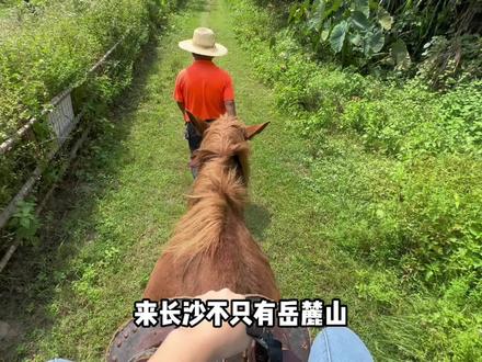 黑麋峰好玩的地方真的太多‼️团建亲子研学等都很适合#望城好时光 #旅行推荐官 #dou出你的私藏景点 #国庆旅行指南 #国庆心动打卡地 @雷锋故里