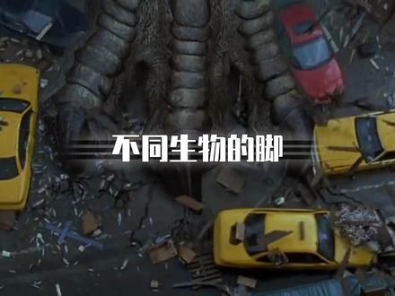 你知道不同生物的脚都有多大吗?#科普 #生物 #哥斯拉 #脚 #硬核知识局 @抖音博士团