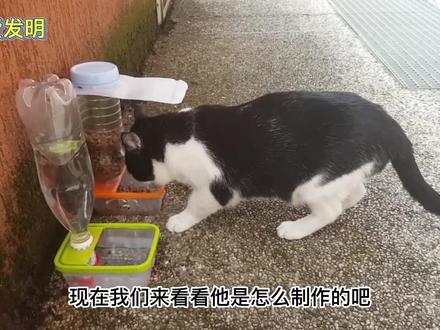 利用废弃的塑料瓶制作猫咪的自动喂食器,小哥手艺可以啊。#手工 #手工制作 #手工diy #发明 #创意手工 #自动喂食器 #宠物自动喂食器
