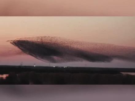 庄子的逍遥游原来是真的,北冥有鱼,其名为鲲,此刻具象化了。
#北冥有鱼其名为鲲 #北冥有鱼竟然是真的