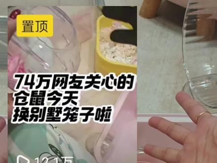 嘟姐的笼子,改造改造嘿嘿,不过轮子真的绝了没看好尺寸555#仓鼠 #仓鼠日常