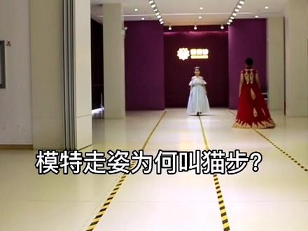 模特步为什么叫猫步?你知道吗?#少儿形体礼仪模特 #我们一起长大