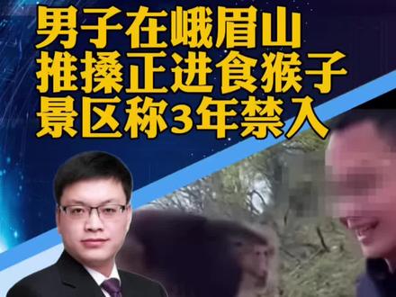 #景区回应游客猛推崖边猴子 男子在峨眉山推搡正进食的猴子 景区:列入“黑名单”,3年内禁入!(红星新闻)#攀谈天下 #抖音热评