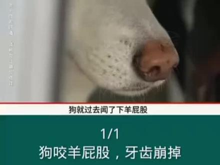 这也可以……
#一口好牙的重要性