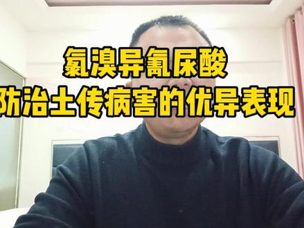 氯溴异氰尿酸在防治土传病害方面的神奇表现。根腐,茎基腐,青枯,立枯,枯萎,猝倒。大量姜瘟,茎基腐;花生果腐,白绢;小麦根腐,纹枯,全蚀病!地君敬#病虫害防治 #肥料 #农业技术 #三农 #干货 #农业 #根结线虫 #学习 #经验分享 #干货分享