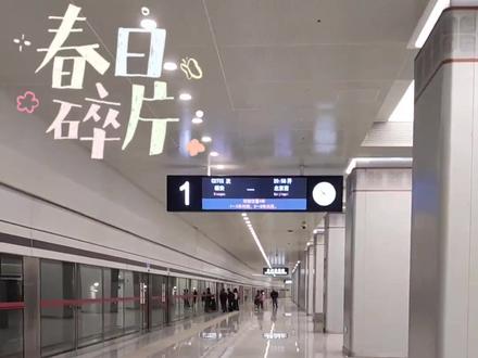 大兴机场直接坐火车,省Q省时🐴??#大兴国际机场 #北京西站#旅行推荐官