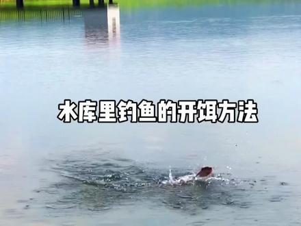 水库里钓鱼的开饵方法@抖音小助手 #钓鱼 #钓鱼方法 #钓鱼教学